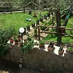 Farfalla Bianca
