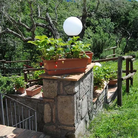 Farfalla Bianca Pensionat Vitorchiano