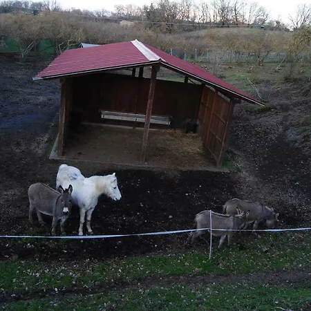 Pensionat Farfalla Bianca